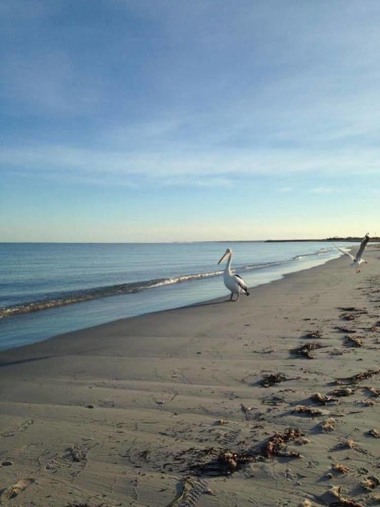 Busselton Guest House Luaran gambar